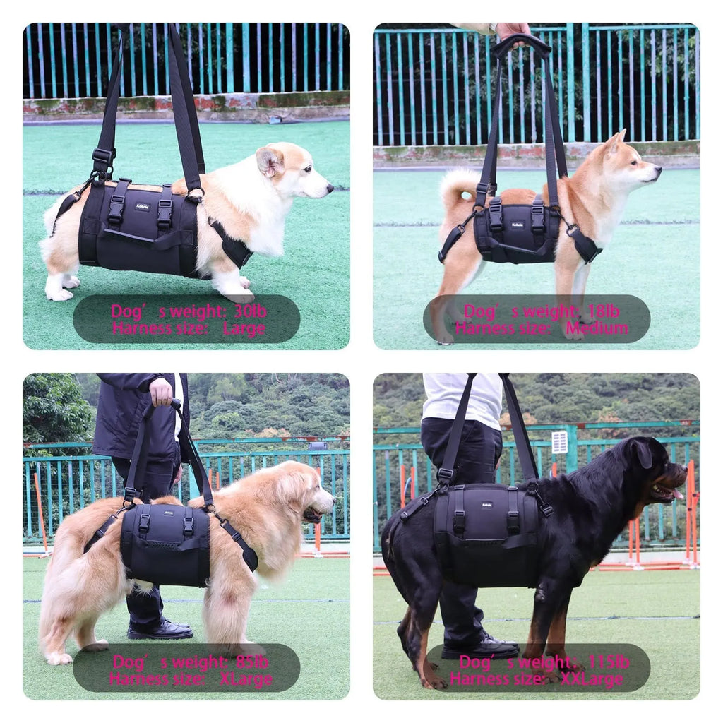 Black Oxford cloth dog harness with leg support and breast strap on medium-sized dog