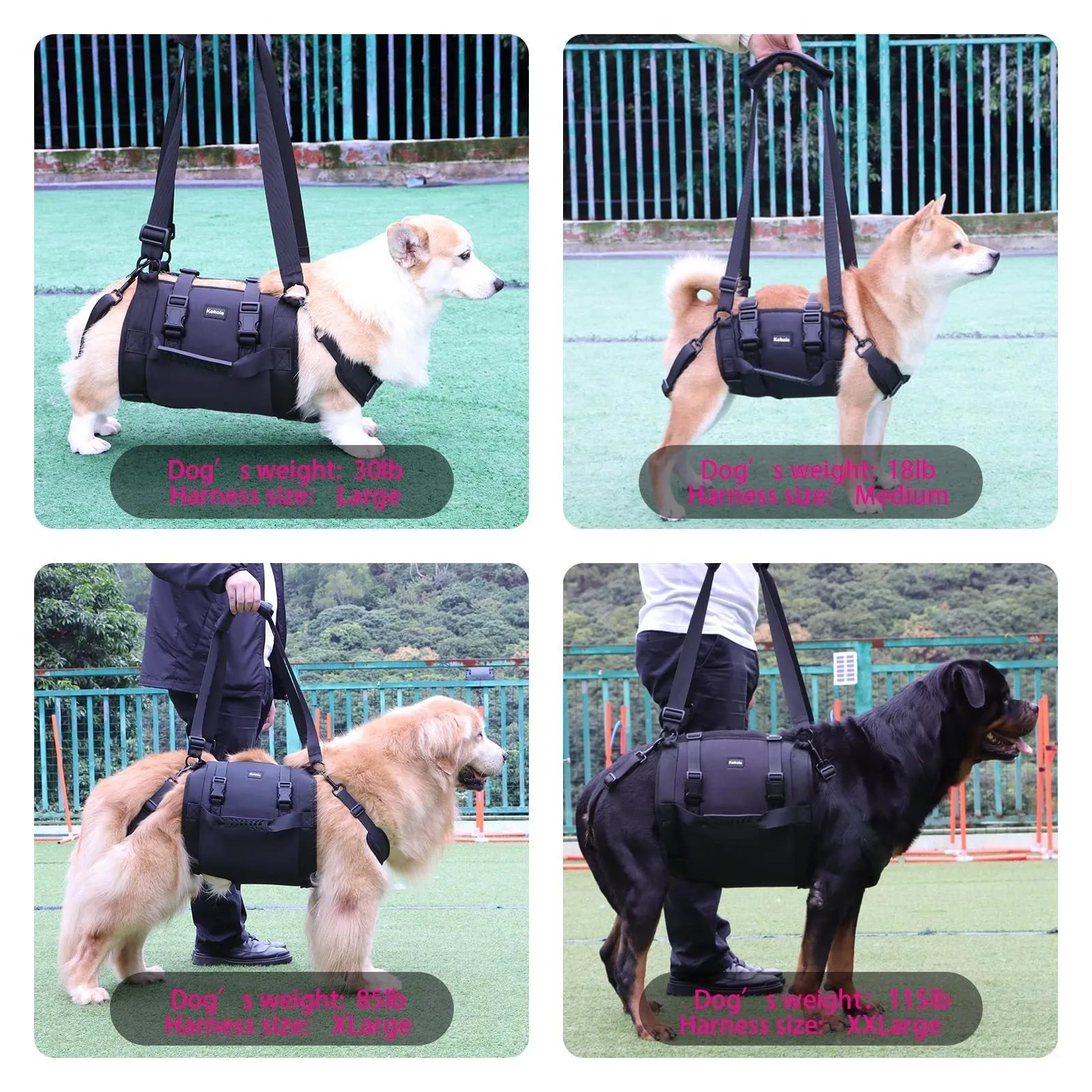 Black Oxford cloth dog harness with leg support and breast strap on medium-sized dog