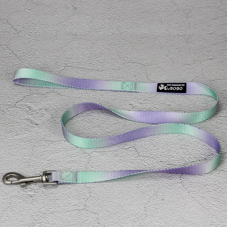 Gradient colour nylon dog leash and harness set shown in pink and blue combination.