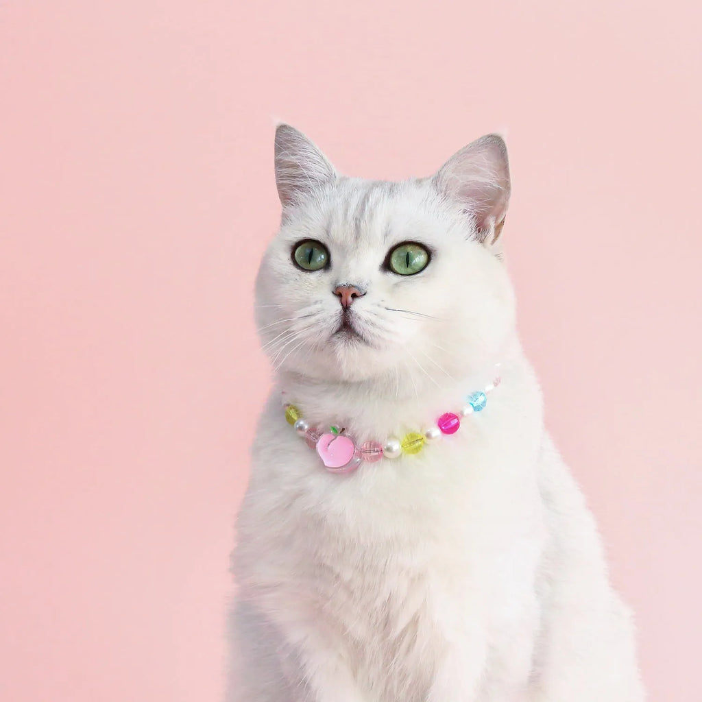Colourful plastic bead cat necklace in small flower, rainbow, or peach design on a cat.